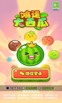 鸿运大西瓜图2